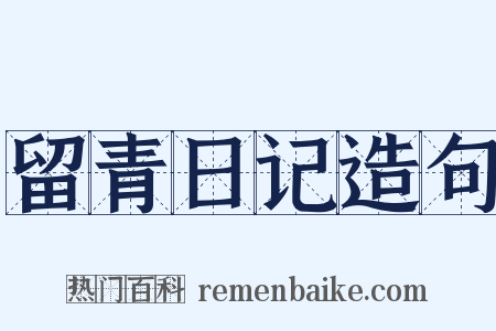 留青日记造句是什么意思的图片